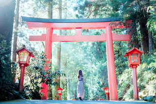 林间神社红色鸟居