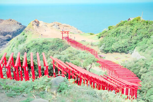 滨海千本鸟居风光