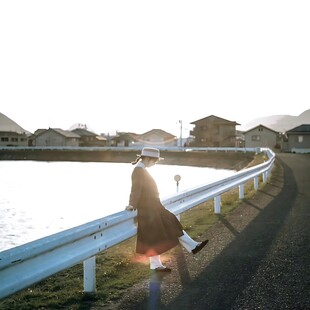 乡野水畔公路风光