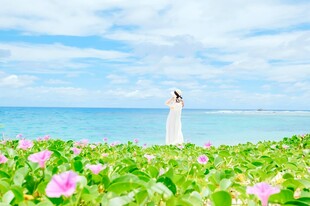 海边花田白衣少女
