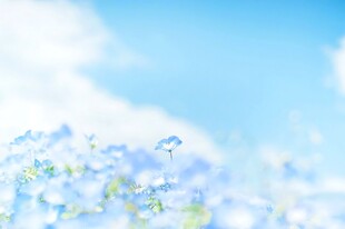 清新蓝天白云晴空