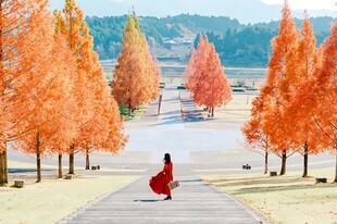 秋日红杉步道红衣女子