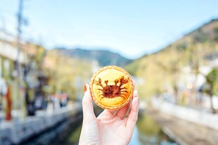手捧月饼户外随拍