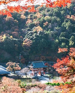 秋山古寺红叶盛景