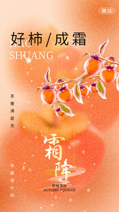 霜降好柿节气海报