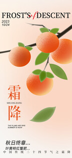 霜降柿子节气创意海报