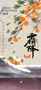 霜降节气柿子国风插画