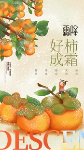 霜降好柿成霜创意海报