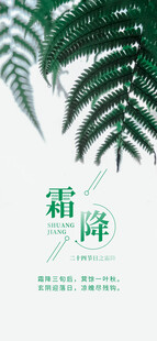 霜降简约节气海报