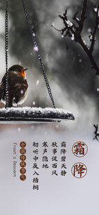猫冬雪景国风插画