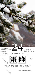 霜降节气创意海报