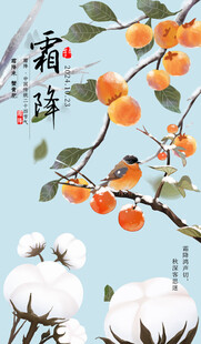 霜降节气柿子插画海报