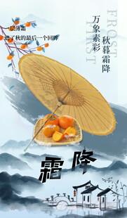 霜降节气水墨国风海报