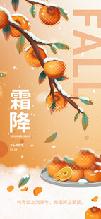 霜降柿子节气插画