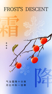 霜降节气柿子海报