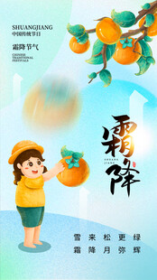 霜降节气摘柿子插画