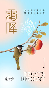 霜降节气国风创意海报