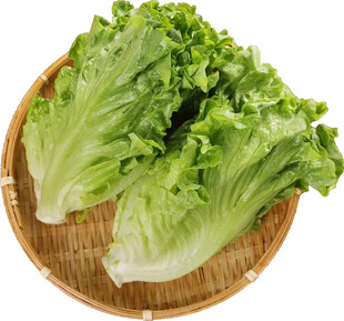 竹篮里的新鲜生菜