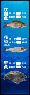 海鲜店价目表鱼海鲜菜单