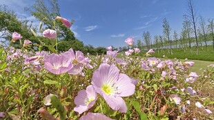 鄂州樊口公园