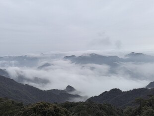 山间云雾山野风光