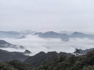 山间云海晨雾景观