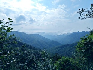 层峦叠翠山野风光