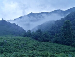 山间雾色山野风光