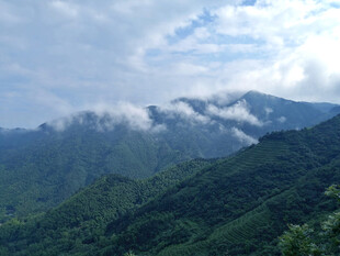 云雾青山自然风光
