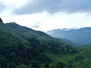 青山层峦山野风光
