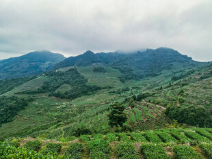 青山连绵山野