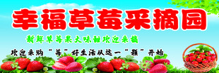 幸福草莓采摘园海报