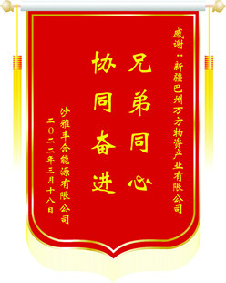 兄弟同心协同奋进锦旗