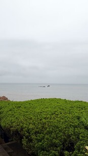 阴天海边草地风光