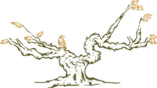 手绘古风树枝新芽