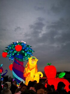 夜间绚烂花灯展