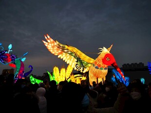 夜间绚烂花灯展