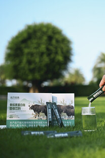 户外草坪产品展示
