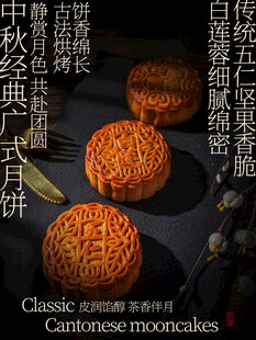 经典广式月饼美食小吃海报