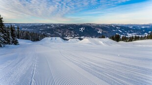 冬日雪原滑雪道风光