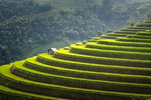 山间层叠梯田风光