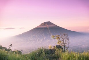 粉霞火山晨景