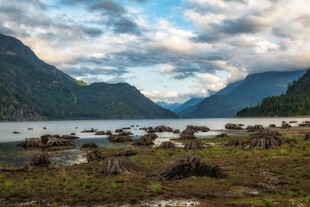 山湖湿地自然风光
