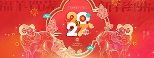 年会羊年喜庆2027线条设计