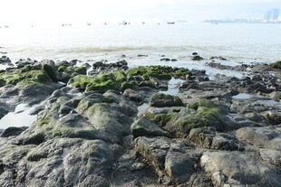 礁石海岸