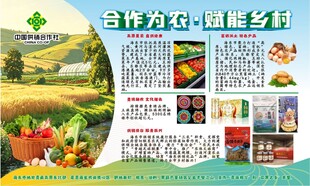 乡村丰收