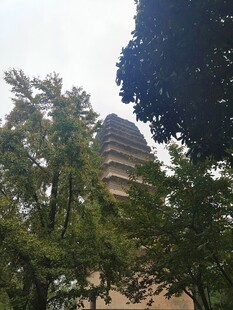 树丛掩映古塔