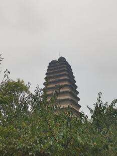 树丛掩映的古塔