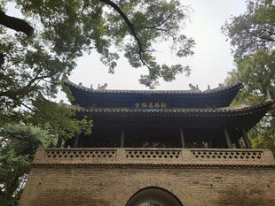 树荫掩映中式古建
