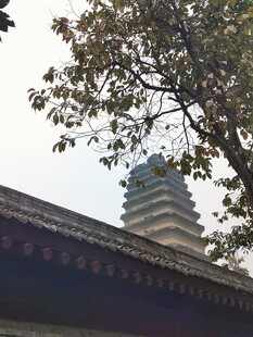 树影掩映古塔